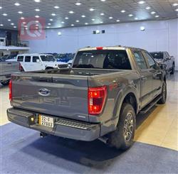 فۆرد F-150